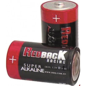 Alkaline Size D - LR20 Batteries 2 Pk