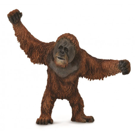 Collecta - Orangutan