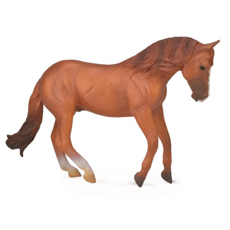 Collecta - Australian Stock Horse Stallion C-Nut