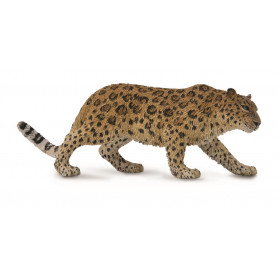Collecta - Amur Leopard