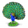 Collecta - Peacock
