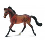 Collecta - Thoroughbred Mare Bay