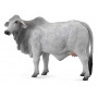 Collecta - Brahman Cow Grey