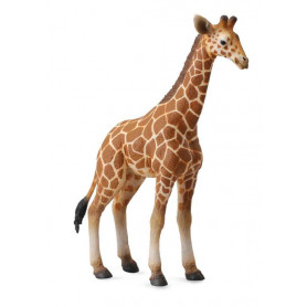 Collecta - Reticulated Giraffe Calf