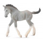 Collecta - Shire Horse Foal Grey