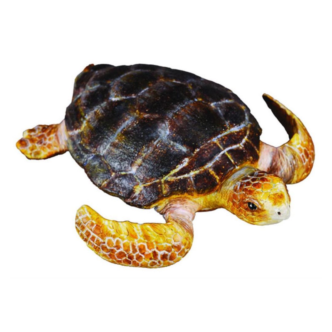 Collecta - Loggerhead Turtle - Shop Now!
