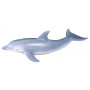 Collecta - Bottlenose Dolphin