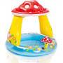 Intex Mushroom Pool