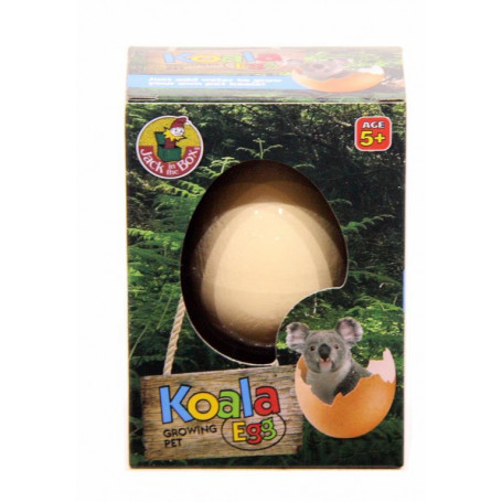 Koala Egg Growing Pet