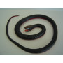46 inch Snake Rubber Red Belly Black