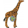 Planet Earth Jungle Animal -Assorted