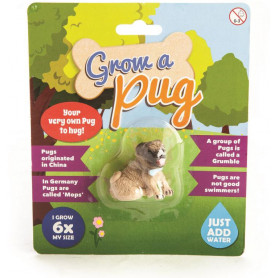 Grow A Pug