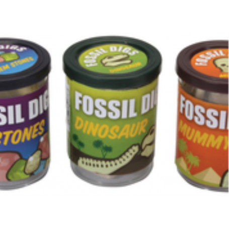 Fossil Dig In Tub Assorted