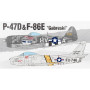 Academy 1/72 P-47D & F-86E Gabreski LE