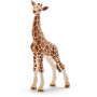 Schleich Wild Life Giraffe Calf
