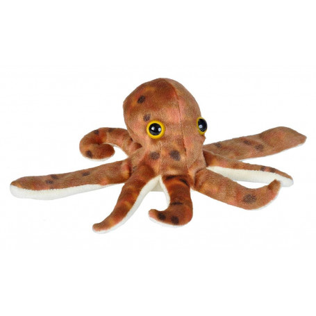 Hugger Octopus