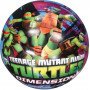 Inflated 9 inch Balls Assorted Licensed- Assorted