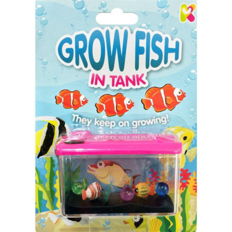 Grow Fish In Tank- Assorted