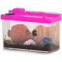 Grow Fish In Tank- Assorted