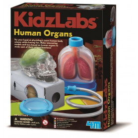 Kidz Labz Human Organs