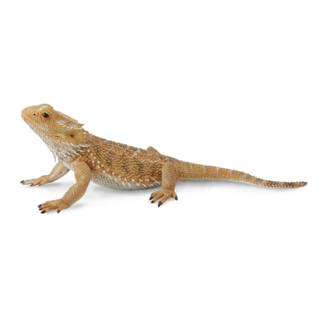 Bearded shop dragon toy