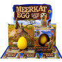 Growing Meerkat Egg- Assorted