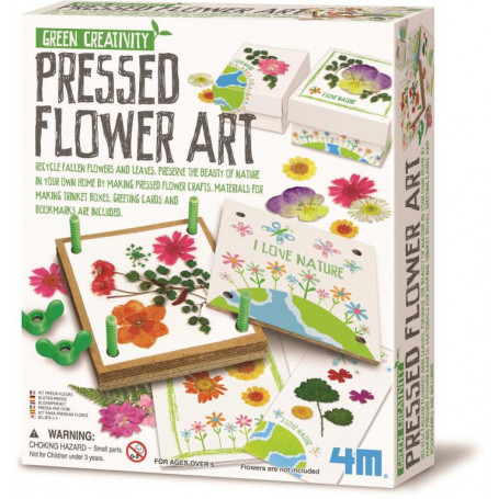 Pressed Flower Art