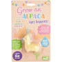 Grow Alpaca- Assorted