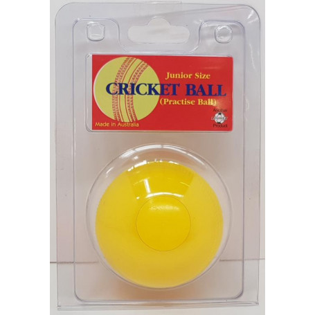 Cricket Ball Junior Size- Assorted