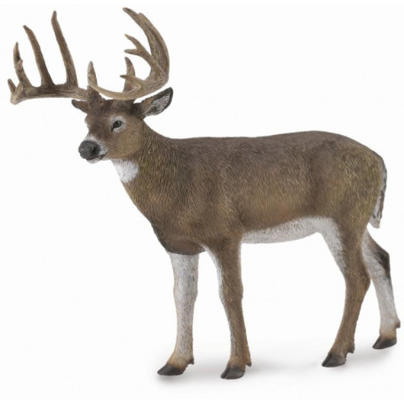 Collecta White-Tailed Deer