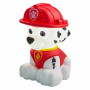 Paw Patrol Marshall/Everest Go Glow Buddy Assorted Character