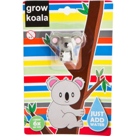 Grow A Koala- Assorted
