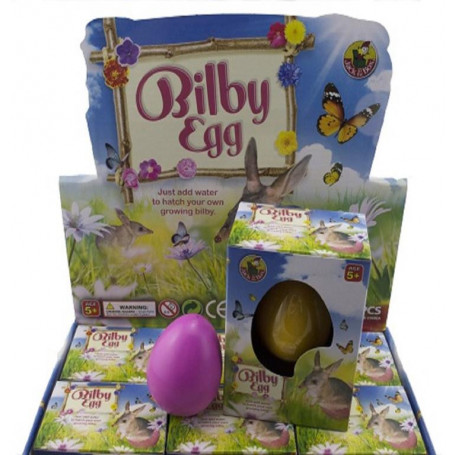 Growing Pet Bilby Egg