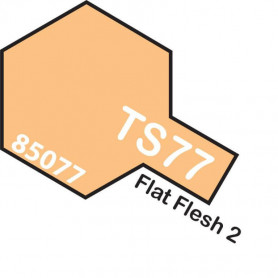 Tamiya TS-77 Flat Flesh 2