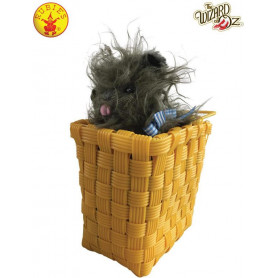 Toto In A Basket