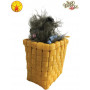 Toto In A Basket