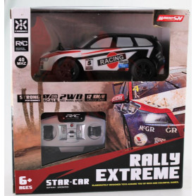 Ready 2 Run Rally Extreme - Full Function
