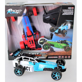 Super Sprint Racing Buggy - Super Fast, 2.4GHz., Assorted