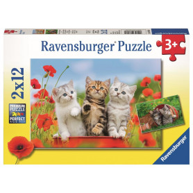Ravensburger - Kitten Adventures Puzzle 2X12Pc