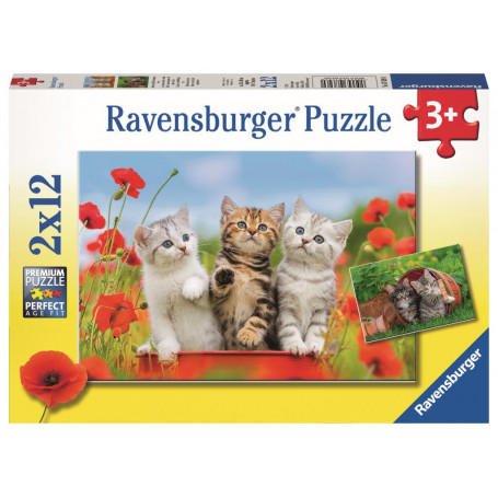 Ravensburger - Kitten Adventures Puzzle 2X12Pc