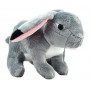 Cuddle Pal Lop Eared Rabbit - 13cm