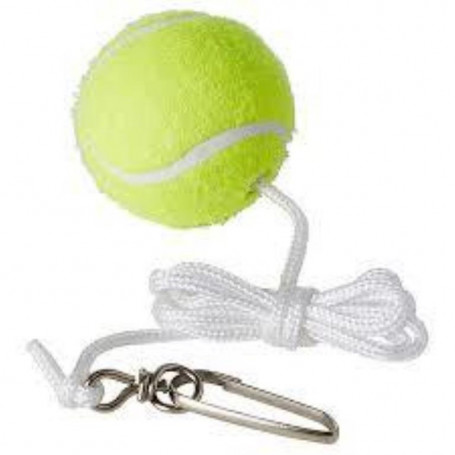Regent Spare Spin Tennis Ball