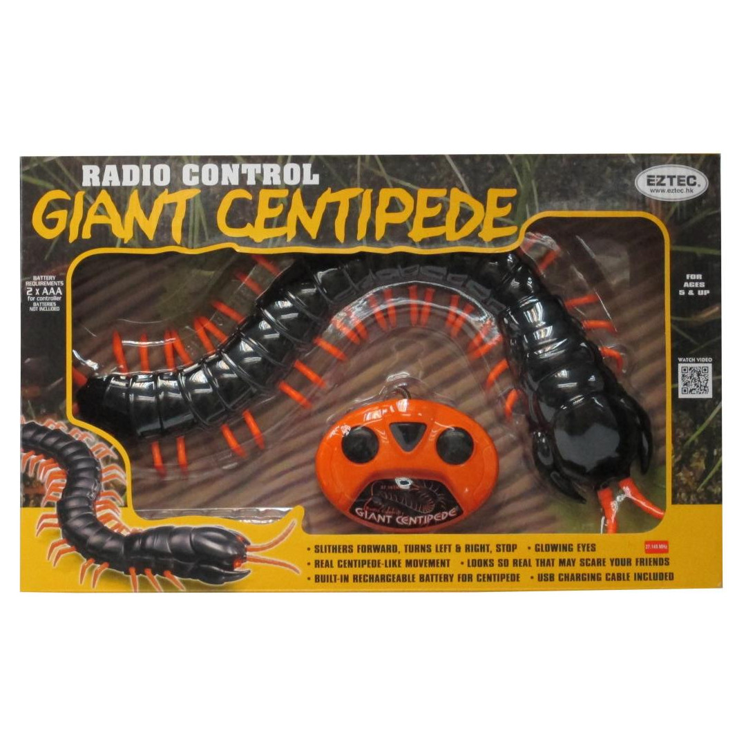 Animal planet remote control hot sale centipede