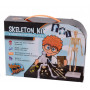 Heebie Jeebies The Skeleton Kit Assorted