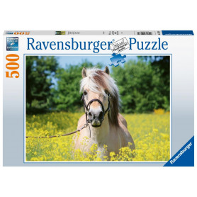 Ravensburger - White Horse 500Pc