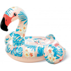 Tropical Flamingo Ride-On, Age 3+