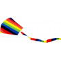 Rainbow Foil Kite