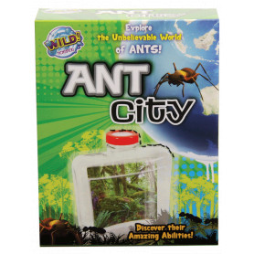 Wild Science Ant City