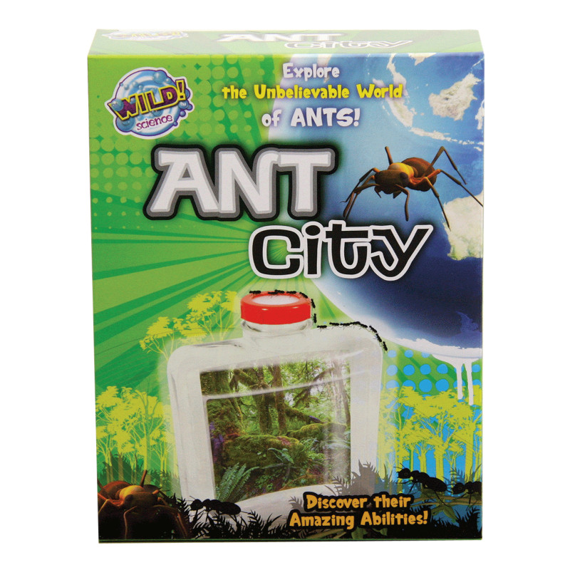 Wild Science Ant City Mr Toys Toyworld