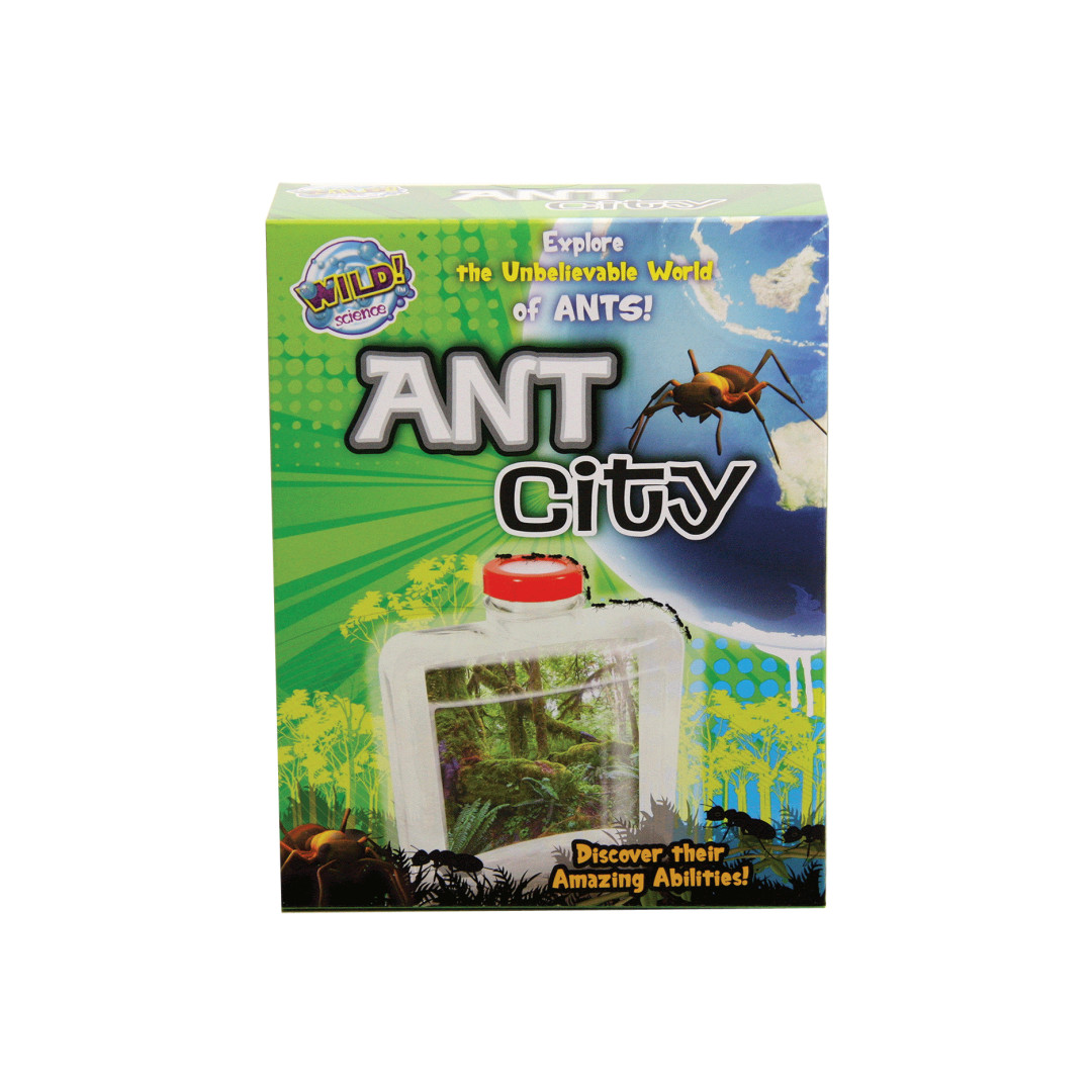 Wild Science Ant City Mr Toys Toyworld